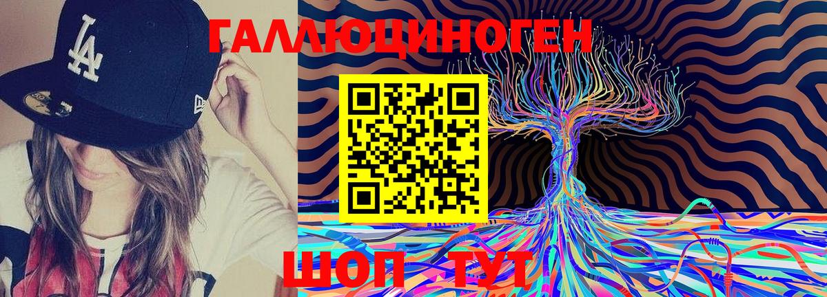 Псилоцибиновые грибы Cubensis Сибай