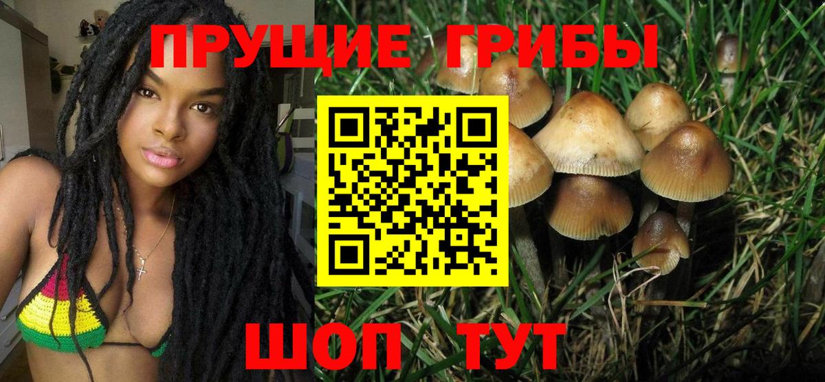 Псилоцибиновые грибы прущие грибы  Псилоцибиновые грибы MAGIC MUSHROOMS  Вход с VPN  Сибай 